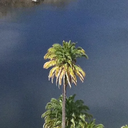 Al Golpito Apartament Las Palmas de Gran Canaria