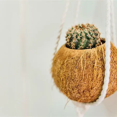 Al Golpito Λας Πάλμας ντε Γκραν Κανάρια